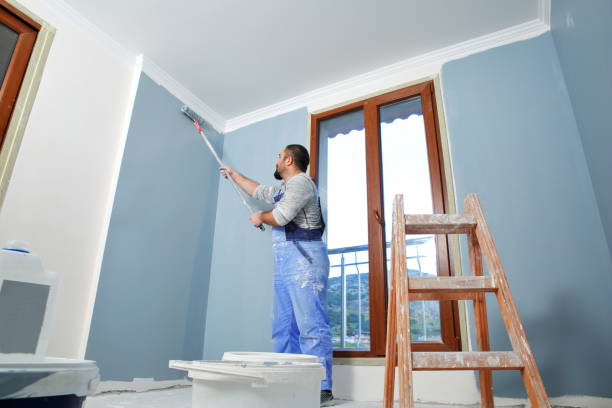  , USA Dry wall and painting Pros